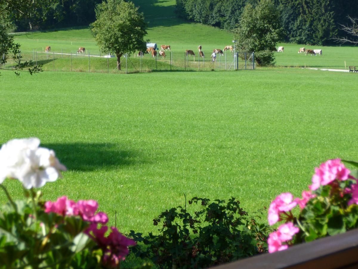 Ferienwohnung Edmeier Bernau am Chiemsee Dış mekan fotoğraf